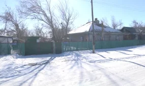 Майқайыңда 2 бірдей адамның мәйітін үйіне сақтаған күдіктілер жындыхана жатқызылды