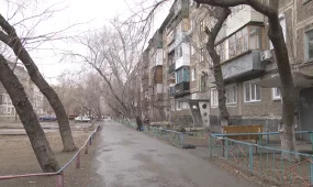 Павлодарда 50 жастағы ер адам мысықты құтқарам деп өзі мерт болды