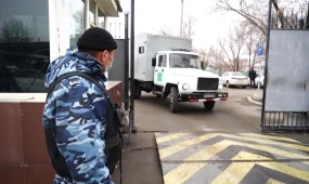 Қызылордада зорлықтың құрбаны болдым деген 16 жастағы жасөспірім босанды