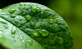 Грозы и потепление: какая погода ожидается 7 апреля в Астане, Алматы и Шымкенте