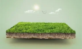 Земли на 363 млн тенге вернули в собственность государства в СКО