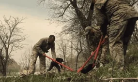 «Мөлдір бұлақ»: очищены источники вдоль реки Сайрамсу