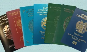 17 человек проживали с двойным гражданством в ВКО