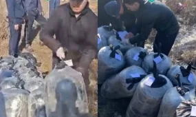 Тайник с 308 килограммами наркотиков нашли у павлодарца