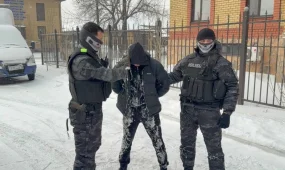 Семейде психотроптық заттарды заңсыз сақтаған тұрғын анықталды