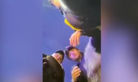 Павлодарда полицейді балағаттаған жүргізуші жауапкершілікке тартылды