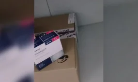 МВД ограничило оборот более 500 тысяч препаратов по итогам операции «Дәрмек»