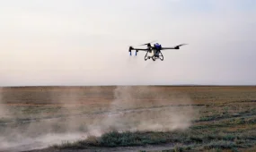 В Казахстане более 100 дронов будут бороться с нашествием саранчи