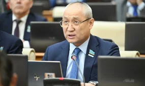 "Әр бір сағат сайын 5 адамға ит шабуылдайды"-Жаңбыршин