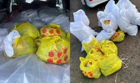 БҚО-да полицейлер заңсыз балық тасымалын тоқтатты: 400 келіге жуық балық тәркіленді