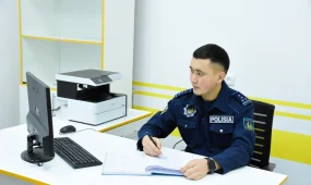 Учаскелік полицейлерге ит пен мысықтардың чиптелуін тексеру өкілеттігі берілмек