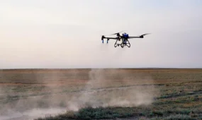 Шегірткеге қарсы күреске 100-ден астам дрон жұмылдырылады