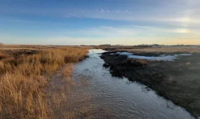 Қостанай облысында су тасқынынан бірде-бір үй зардап шеккен жоқ