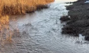 Весна без потопов: в Костанайской области завершился период паводков