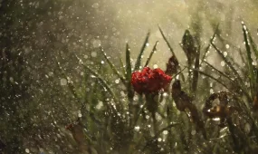 В Алматы гроза, в Шымкенте сильный ветер: погода в пятницу, 10 апреля