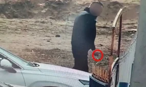 Таза Қазақстан: наказаны более 4 тысяч нарушителей чистоты и порядка в области Абай