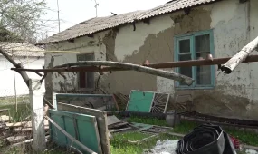 Түркістан облысында отызға тарта ауылда жер асты суы көтерілген