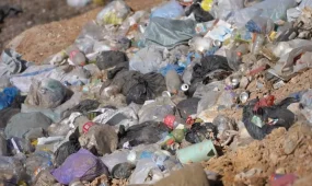 Тысячи свалок под снос: полиция развернула масштабную зачистку по всей стране