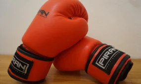 Глава государства поздравил сборную Казахстана по боксу с триумфом на чемпионате Азии