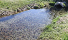 Биыл «Мөлдір бұлақ» акциясы аясында 30 бұлақ тазартылды