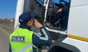 Дальнобойщика отправили за решетку за фальшивые номера в Костанайской области