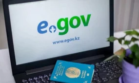 Казахстан полностью переводит оформление разрешений для мигрантов в онлайн