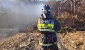 Шығыс Қазақстанда өрт қаупі жоғары кезең басталды