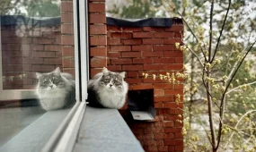 Пасмурно и дождливо: прогноз погоды на три дня