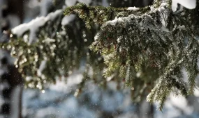 Алдағы күндері күн суып, қар жауады