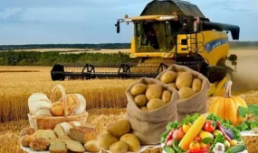 Азық-түлік өндірісі 665 млрд теңгеден асты