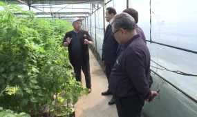 «Ауыл аманаты» ауыл кәсіпкеріне мүмкіндік ашты: Қазығұрттағы табысты жоба