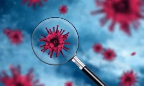 Жаңа штамм Қазақстанда анықталған жоқ