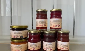 Казахстанские ученые создали технологию переработки овощей и фруктов с пользой для здоровья