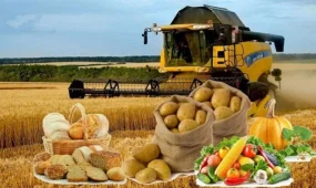 Производство продуктов в Казахстане резко выросло, объем превысил 665 млрд тенге