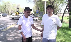 Алматы облысындағы жантүршігерлік жол апатынан жапа шеккендер сот үкіміне наразы