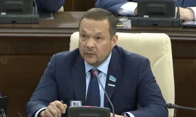 Любые факты жестокого обращения с животными – это нарушение закона, - депутат