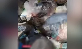 Свалку медицинских отходов нашли в Алматиснкой области