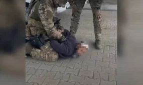 ІІМ мал ұрлығымен айналысқан ұйымдасқан қылмыстық топты ұстады