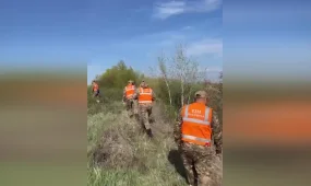 Пропавшего в Актюбинской области мальчика начали искать на территории России