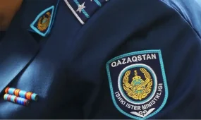 Шымкент тұрғыны жертөледе марихуана өсірген