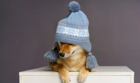 Морозы и потепление: о погоде на выходных рассказали синоптики