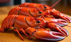 Лобстеры могут чувствовать боль при варке - учёные призывают изменить подход к приготовлению