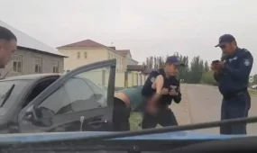 Жамбыл облысында мас жүргізуші полициядан қашпақ болды