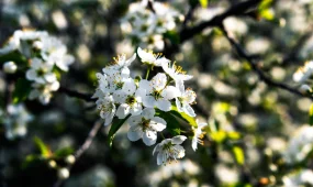 Прогноз погоды на 19 апреля 2026 года в Казахстане