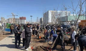 «Таза Қазақстан»: Астанада 5000 әке мен бала ағаш екті