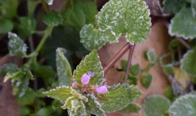 -3 градус: ауа райы құбылады