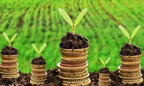 256 фермерге 8,2 млрд теңге жеңілдетілген несие берілді