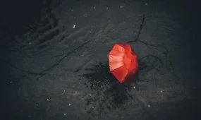 14 облыста дауылды ескерту жарияланды