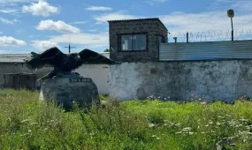 Убийц Яны Легкодимовой этапировали в колонию «Черный беркут»