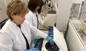 Қазақстандық ғалымдар өнімділікті 10 ц/га дейін арттыратын құрғақшылыққа төзімді сорттарды патенттеді